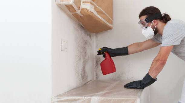 Professional Basement Mold Remediation technician working in Uniondale, NY