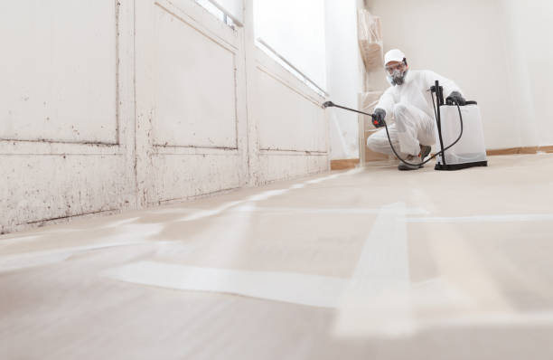 24/7 Emergency Basement Mold Remediation experts in Uniondale, NY